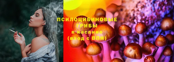 ПСИЛОЦИБИНОВЫЕ ГРИБЫ Армянск