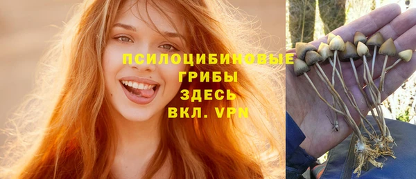 гашик Арсеньев