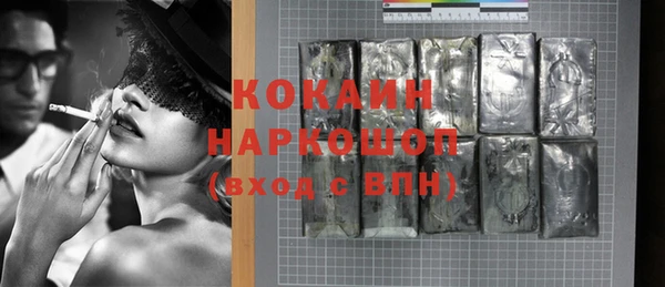 гашик Арсеньев