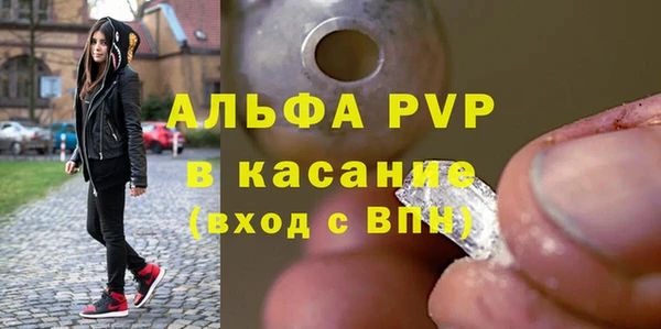 гашик Арсеньев