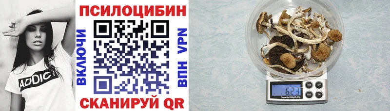 Галлюциногенные грибы Psilocybe  мега ССЫЛКА  Харабали 